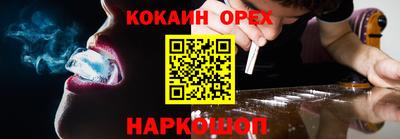 СК Кингисепп