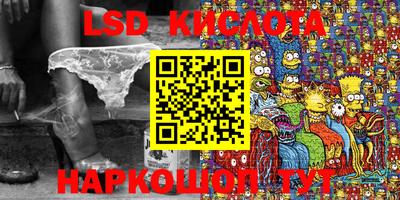 СК Кингисепп