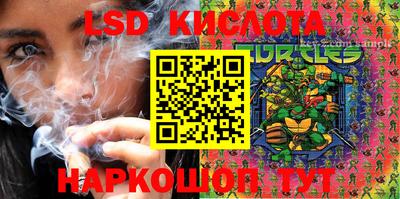 СК Кингисепп