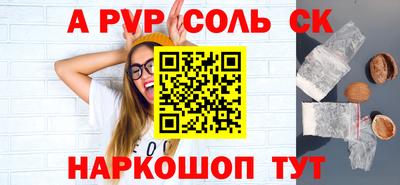 СК Кингисепп