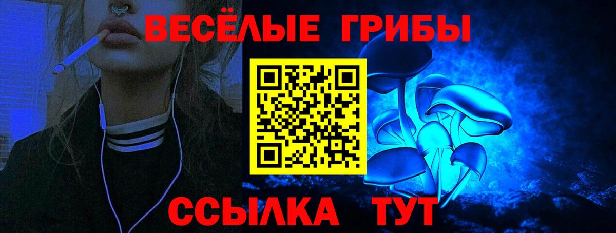 Котлас  Галлюциногенные грибы GOLDEN TEACHER  Вход с VPN 